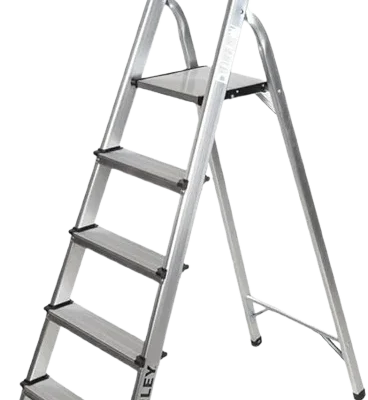 Ladder